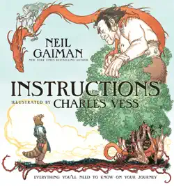instructions book cover image