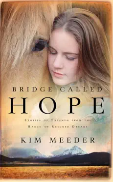 bridge called hope book cover image