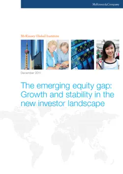 the emerging equity gap: growth and stability in the new investor landscape book cover image
