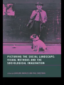 picturing the social landscape imagen de la portada del libro