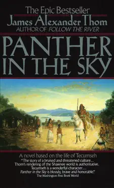 panther in the sky book cover image