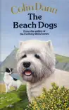 The Beach Dogs synopsis, comments