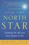 Finding Your Own North Star synopsis, comments