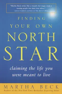 finding your own north star book cover image