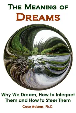 the meaning of dreams book cover image