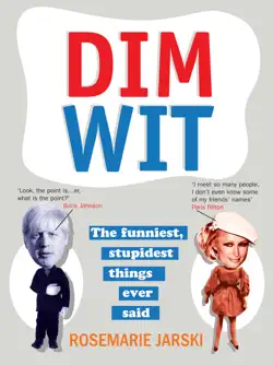 dim wit book cover image