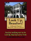 A Walking Tour of Beaufort, South Carolina synopsis, comments