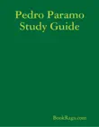 Pedro Paramo Study Guide synopsis, comments