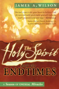the holy spirit and the endtimes book cover image