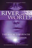 The Magic Labyrinth synopsis, comments