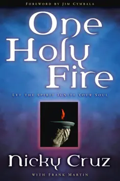 one holy fire book cover image