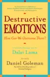 Destructive Emotions sinopsis y comentarios