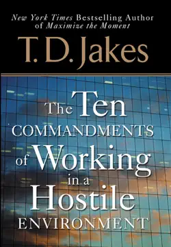 ten commandments of working in a hostile environment book cover image