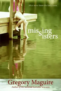 missing sisters book cover image