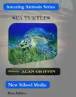 Sea Turtles synopsis, comments