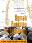 Human Anatomy and Physiology Study Guide synopsis, comments