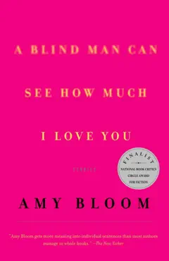 a blind man can see how much i love you book cover image