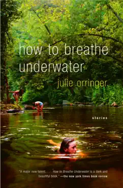 how to breathe underwater book cover image