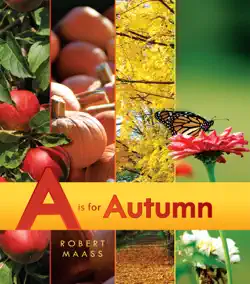 a is for autumn book cover image