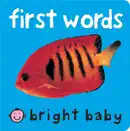 Bright Baby First Words e-book