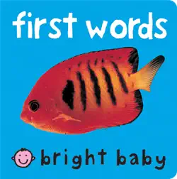 bright baby first words book cover image