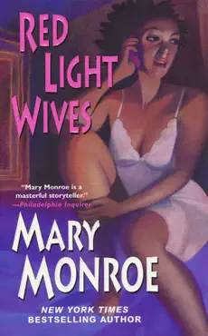 red light wives book cover image