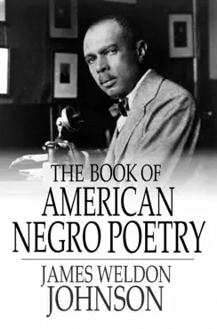 the book of american negro poetry book cover image