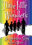 Three Little Wonders synopsis, comments