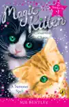 Magic Kitten Duos: A Summer Spell and Classroom Chaos sinopsis y comentarios