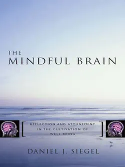 the mindful brain: reflection and attunement in the cultivation of well-being (norton series on interpersonal neurobiology) book cover image