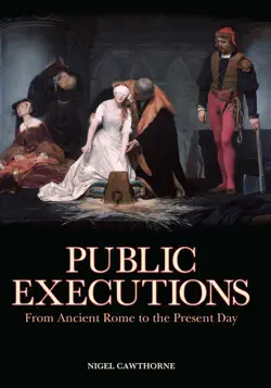 public executions book cover image