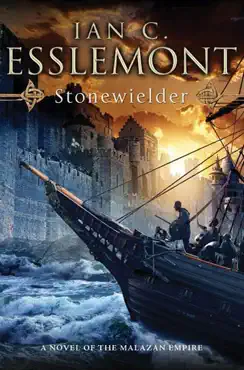 stonewielder book cover image
