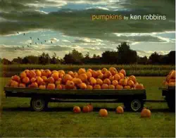 pumpkins book cover image