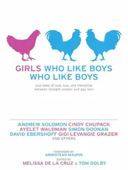 girls who like boys who like boys book cover image