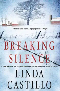 breaking silence book cover image