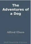 The Adventures of a Dog synopsis, comments