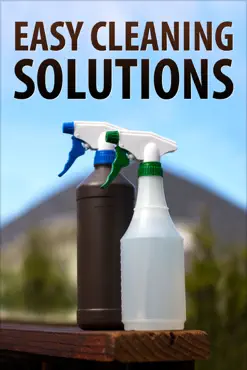 easy cleaning solutions book cover image