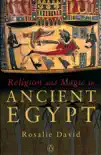Religion and Magic in Ancient Egypt sinopsis y comentarios