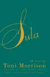 Sula synopsis, comments