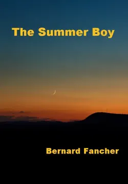 the summer boy book cover image