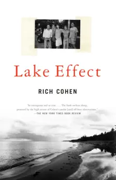 lake effect book cover image