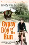 Gypsy Boy on the Run sinopsis y comentarios