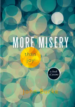 more misery than joy book cover image