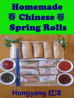 homemade chinese spring rolls book cover image