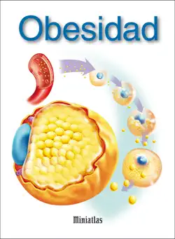miniatlas obesidad imagen de la portada del libro