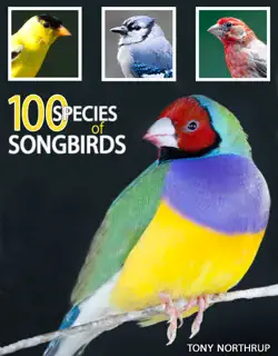 100 species of songbirds: a picture book for bird watchers and lovers book cover image