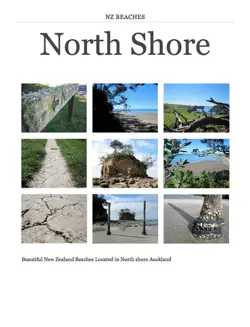 nz beaches north shore imagen de la portada del libro