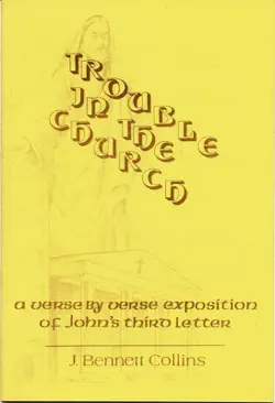 trouble in the church book cover image