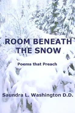 room beneath the snow book cover image