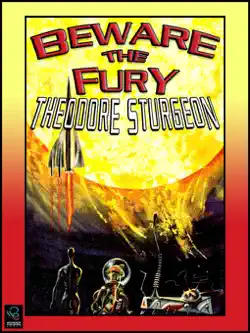beware the fury book cover image